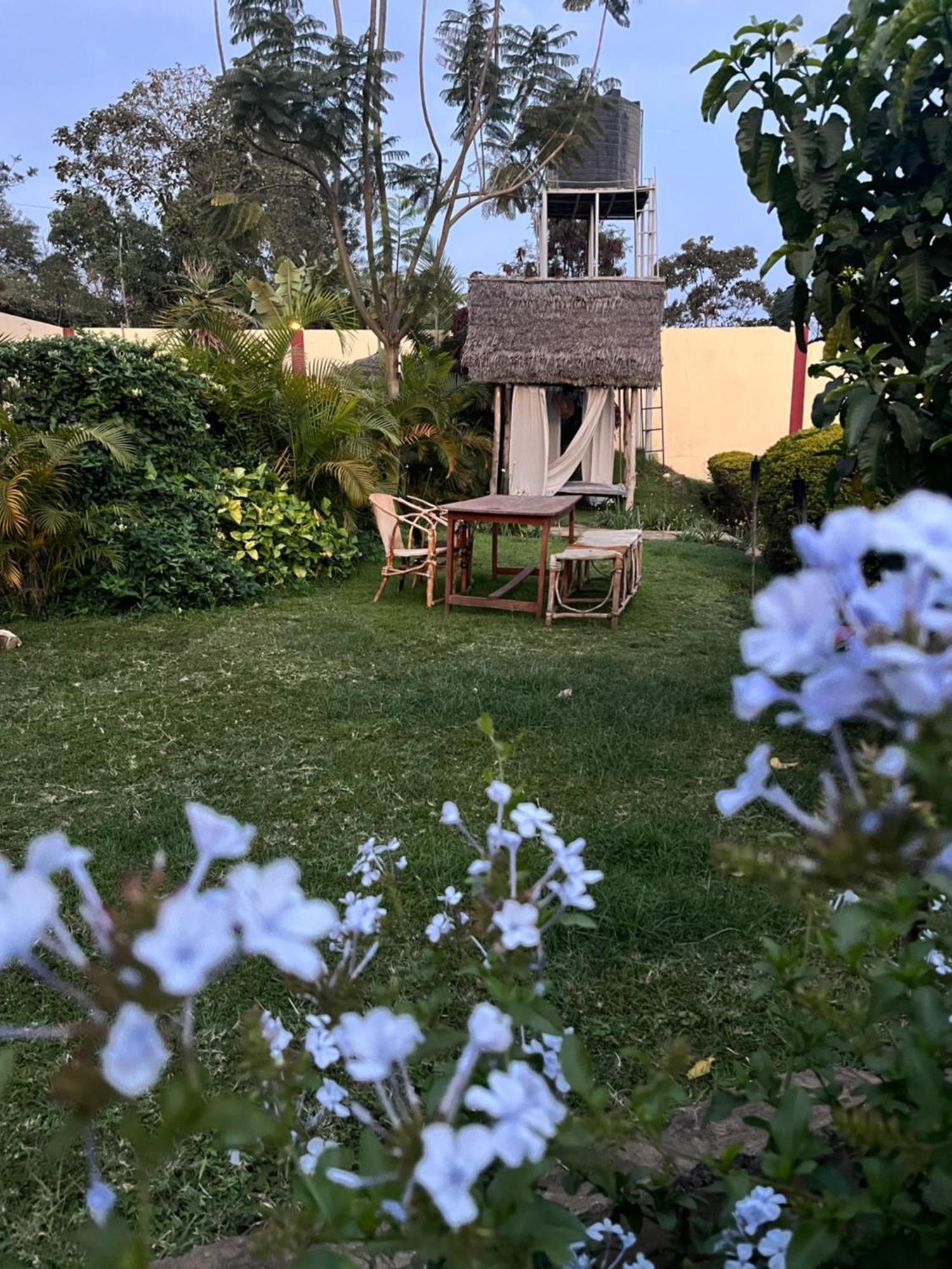 Bed and breakfast Stasumo House Arusha Extérieur photo