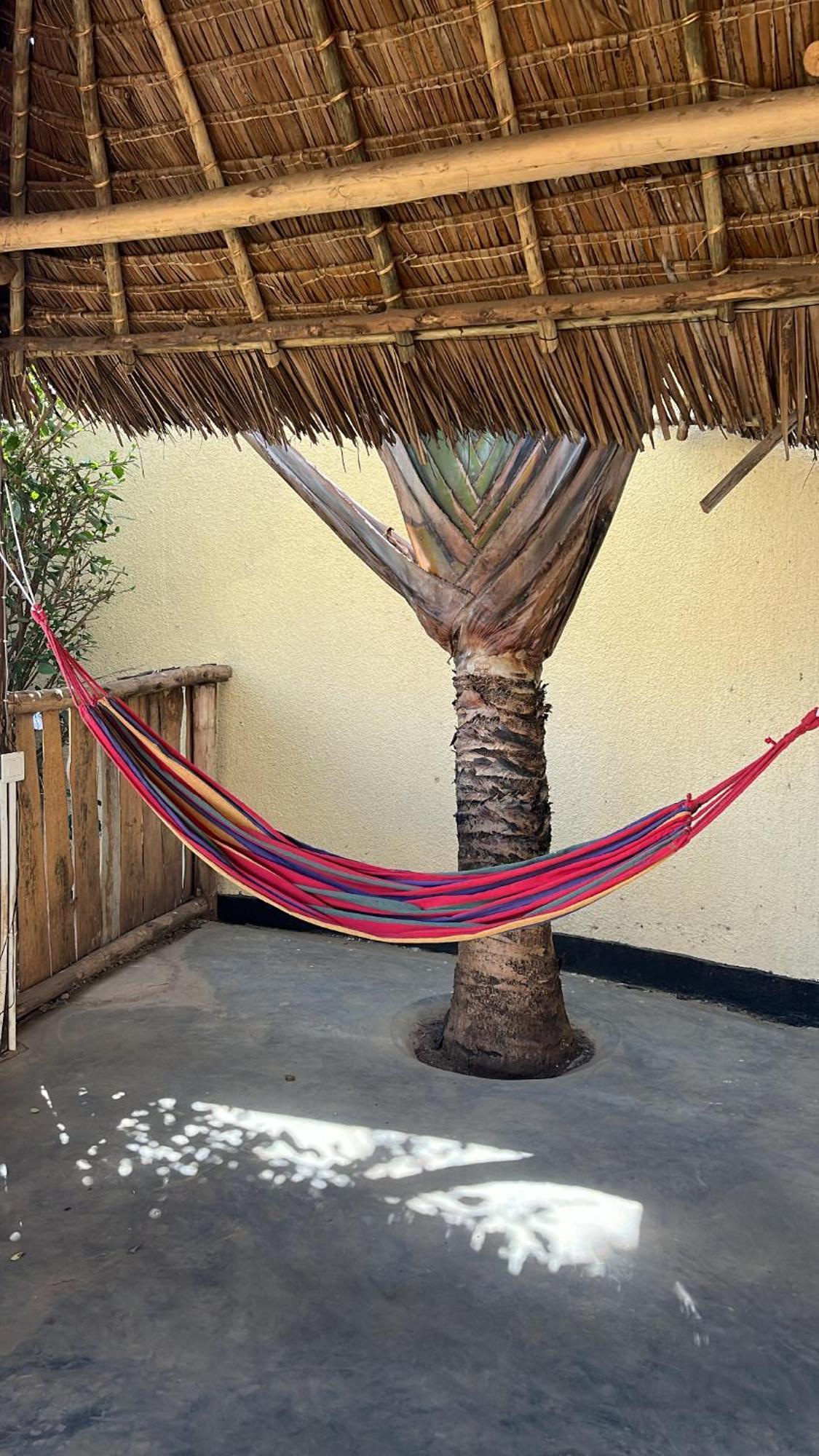 Bed and breakfast Stasumo House Arusha Extérieur photo